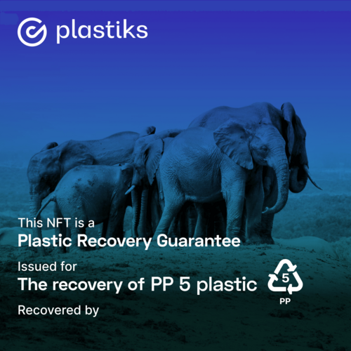 Immagine Gravity Wave Plastic Recovery Guarantee 3