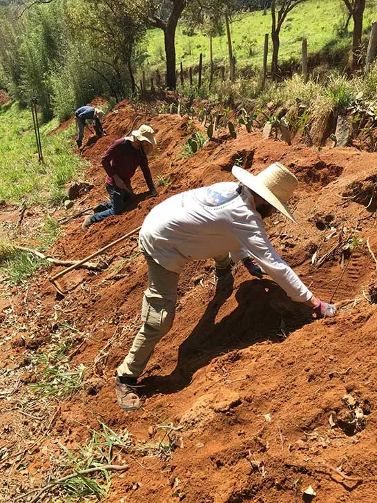 Immagine di persone che coltivano la terra